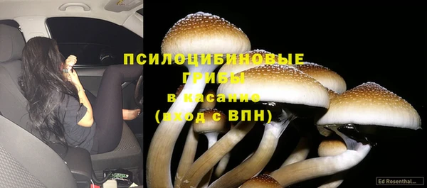 кокаин перу Богданович