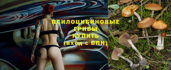 молекула духа Беломорск