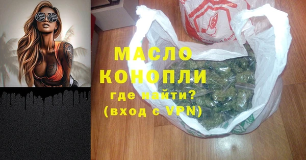 дживик Богородицк