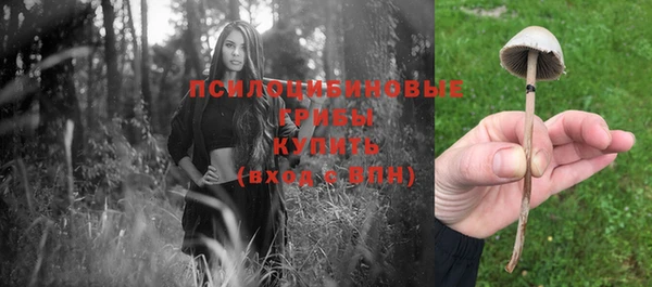 молекула духа Беломорск