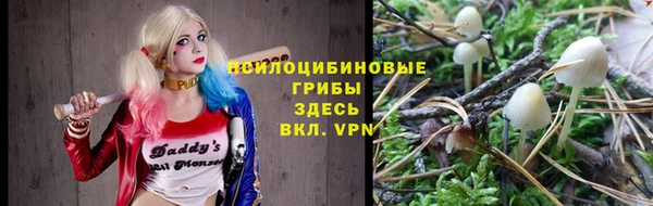 молекула духа Беломорск