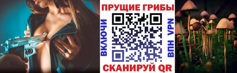 Галлюциногенные грибы Cubensis  OMG зеркало  Белово 